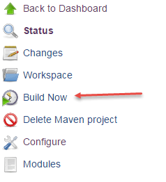 clicking-build-now-for-building-jenkins-project