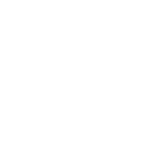 roller-skate